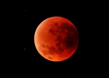 Paus Leo XIV Minta Pastor Tak Andalkan ChatGPT untuk Menyusun Khotbah