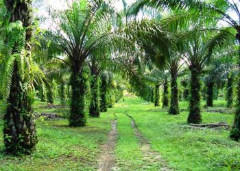 BEI Tunjuk Jeffrey Hendrik sebagai PJS Direktur Utama