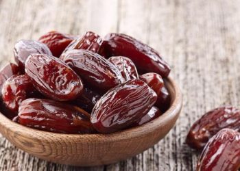 Paus Leo XIV Minta Pastor Tak Andalkan ChatGPT untuk Menyusun Khotbah