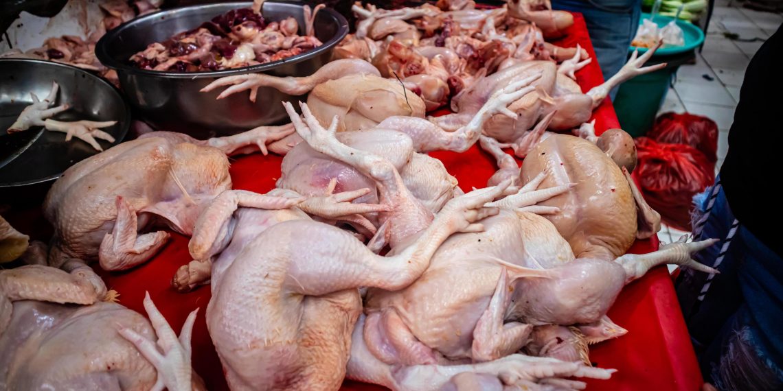 RI Ikut Terdampak Larangan Saudi, Impor Ayam dan Telur Terhambat