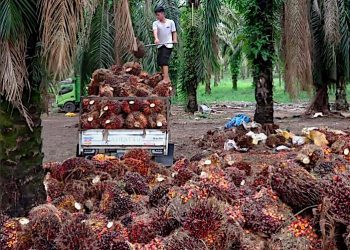 KPK Segera Panggil Kakak Bos MNC Hary Tanoesoedibjo