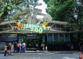 Penyebab Kematian Dua Anak Harimau Benggala di Bandung Zoo Diungkap BKSDA Jabar