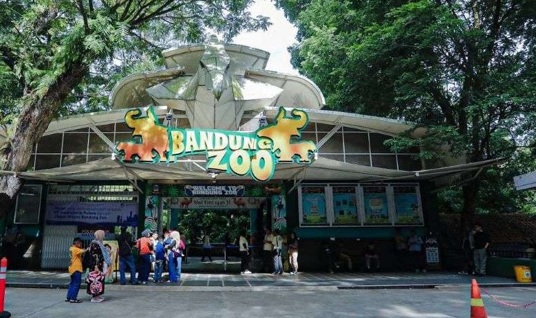 Penyebab Kematian Dua Anak Harimau Benggala di Bandung Zoo Diungkap BKSDA Jabar