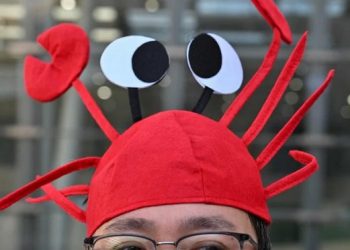 Demam OpenClaw di China Jadi Fenomena Baru Teknologi AI