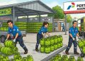 Kebutuhan Naik Saat Lebaran, Pertamina Perkuat Pasokan LPG Subsidi 23 Juta Tabung