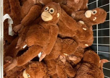 Punch Si Monyet Viral Bikin Boneka IKEA Ludes di Pasaran