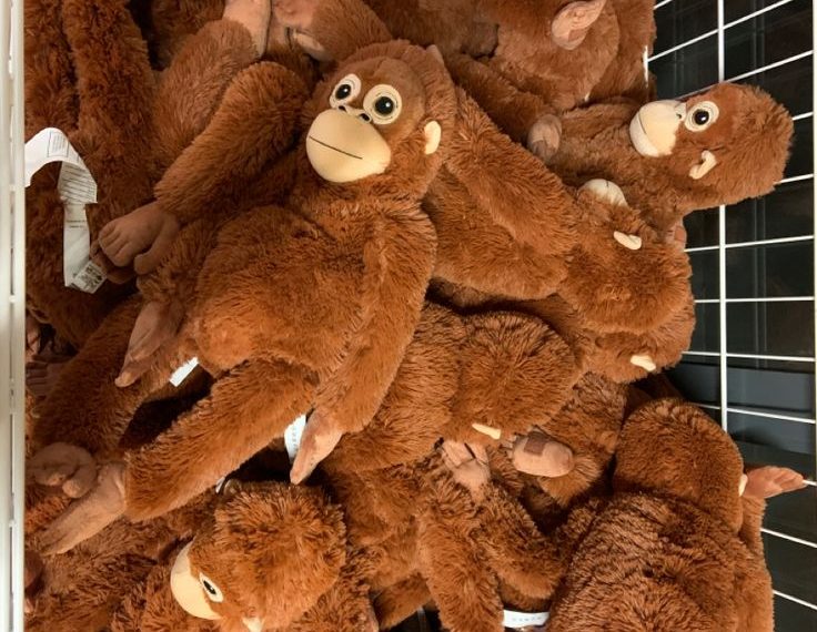 Punch Si Monyet Viral Bikin Boneka IKEA Ludes di Pasaran