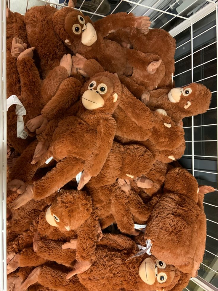 Punch Si Monyet Viral Bikin Boneka IKEA Ludes di Pasaran