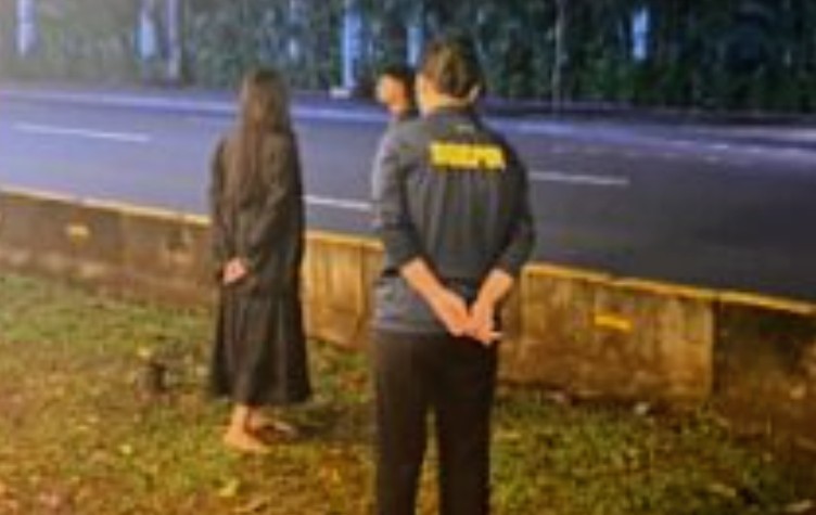 Fakta Mengejutkan di Balik Aksi Nekat Wanita di Istana Merdeka