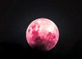 Jangan Lewatkan, Fenomena Langit April 2026 Hadirkan Pink Moon dan Meteor