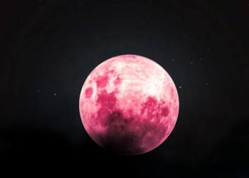 Jangan Lewatkan, Fenomena Langit April 2026 Hadirkan Pink Moon dan Meteor