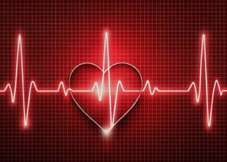 Jantung Sering Berdebar? Ini Penyebabnya Selain Cinta dan Lapar