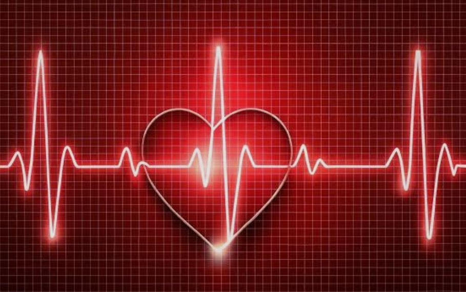 Jantung Sering Berdebar? Ini Penyebabnya Selain Cinta dan Lapar