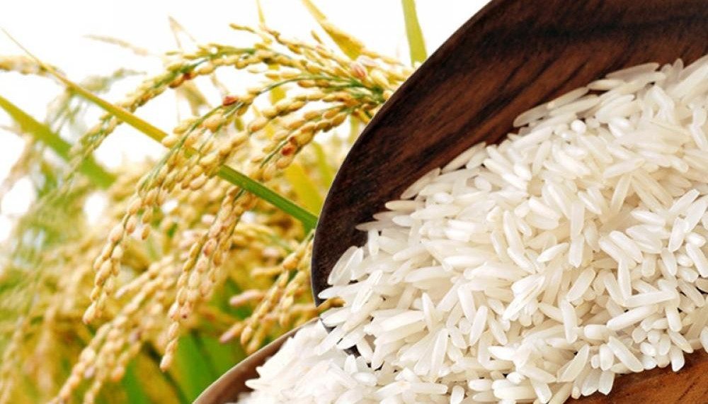 Antisipasi El Nino Ekstrem, Pemerintah Perketat Cadangan Pangan