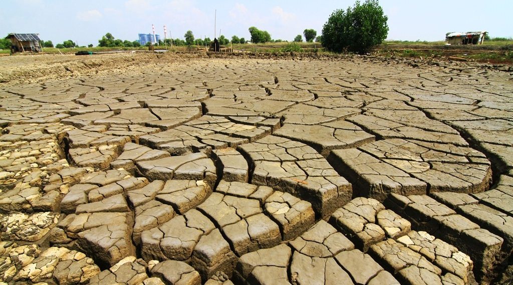 Kapan Musim Kemarau 2026 Dimulai? Ini Perkiraan Awal dan Puncaknya