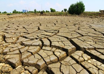 Kapan Musim Kemarau 2026 Dimulai? Ini Perkiraan Awal dan Puncaknya