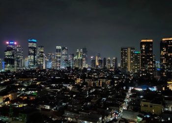 Indonesia Peringkat 2 Negara Termudah Jadi Target Penipuan Digital