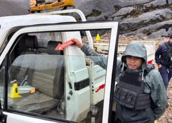 Penembakan di Freeport Gegerkan Publik, Sistem Keamanan Triliunan Dipertanyakan