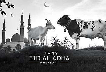 Iduladha 2026 Diprediksi Serentak! Kemenag dan Muhammadiyah Kompak Tentukan Tanggal