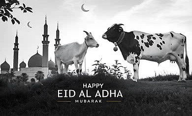 Iduladha 2026 Diprediksi Serentak! Kemenag dan Muhammadiyah Kompak Tentukan Tanggal