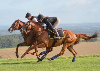 Peluang Renegade Dipertanyakan Usai Undian Posisi Buruk