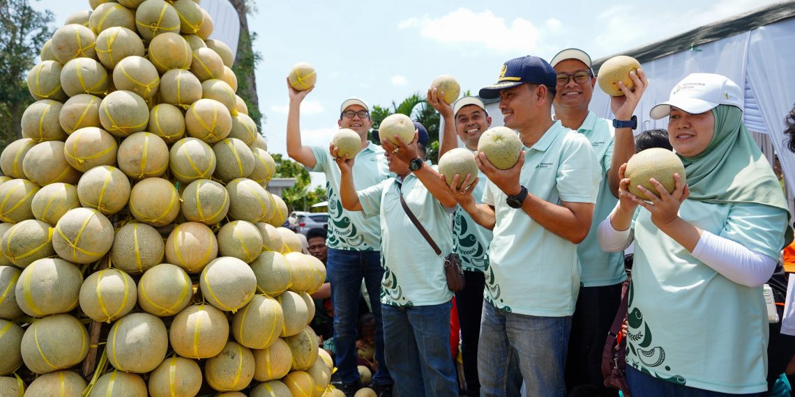 Program “Pestani” Dongkrak Produktivitas Melon Pantura hingga 10 Persen