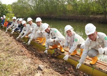 Tekan 1.775 Ton CO₂e per Tahun, PLN Indonesia Power Tanam 80.724 Pohon Sepanjang 2025