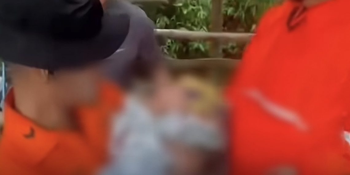 Bayi 1,5 Tahun Hipotermia di Gunung Ungaran, Kronologi Terungkap