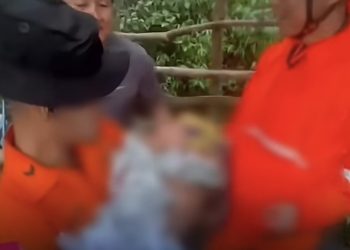 Bayi 1,5 Tahun Hipotermia di Gunung Ungaran, Kronologi Terungkap
