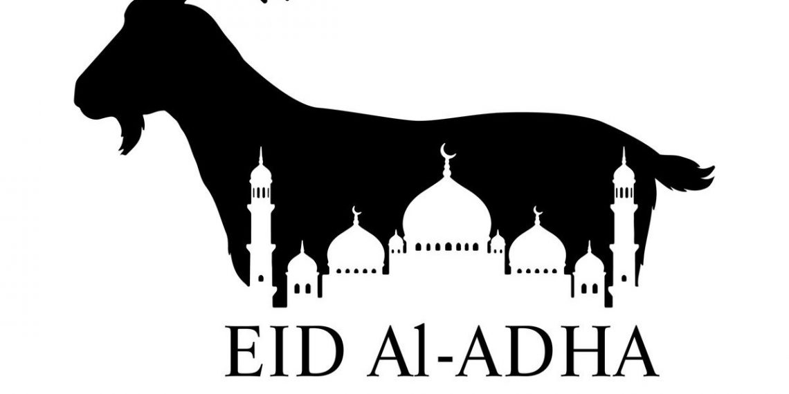 Cedera Parah, Xavi Simons Dipastikan Absen Bela Tottenham