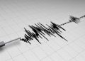 Gempa Berkekuatan 2,5 Magnitudo Goyang Keerom, Papua