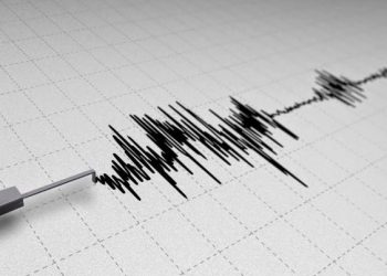 Gempa Berkekuatan 2,5 Magnitudo Goyang Keerom, Papua