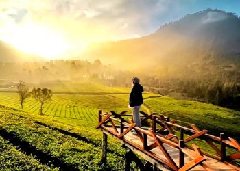 Bandung Jadi Destinasi Favorit Asia, Saingi Jepang dan Vietnam