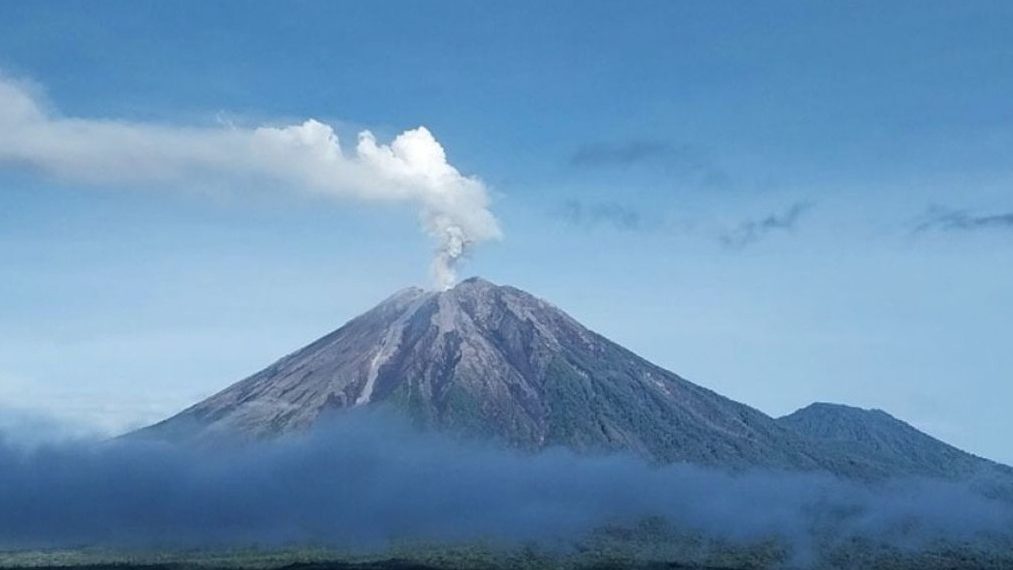 Aktivitas Semeru Meningkat, 14 Kali Erupsi dalam Sehari