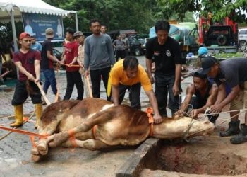 Niat Kurban untuk Diri Sendiri Idul Adha 2026, Lengkap Arab, Latin, dan Artinya