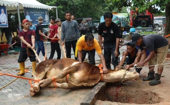 Niat Kurban untuk Diri Sendiri Idul Adha 2026, Lengkap Arab, Latin, dan Artinya