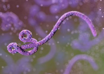 WHO Tetapkan Wabah Ebola di Afrika Tengah sebagai Darurat Kesehatan Global