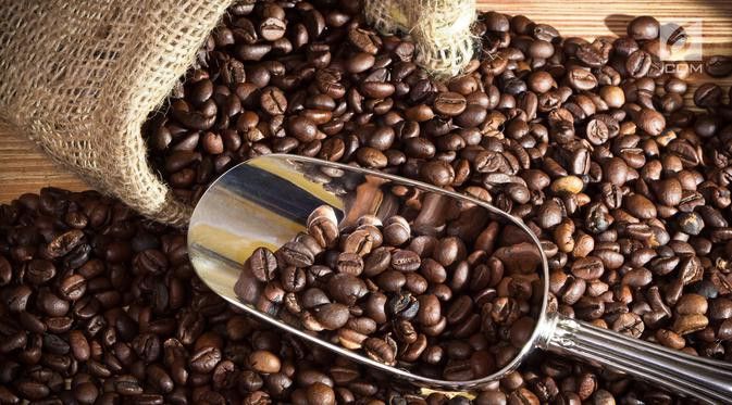 Hong Kong Mulai Menanam Kopi Lokal di Pulau Lantau