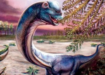 Thailand Temukan Spesies Dinosaurus Raksasa Baru Terbesar di Asia Tenggara
