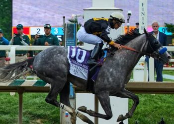 Napoleon Solo Menangi Preakness Stakes 2026 dengan Sprint Dramatis