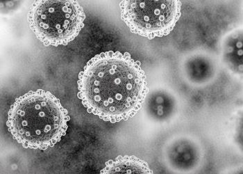 Wabah Hantavirus di Kapal Pesiar 2026 Tewaskan 3 Orang, Penumpang Lain Kritis