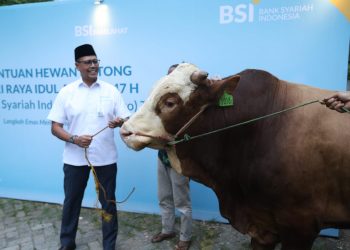 BSI Distribusikan Lebih dari 24 Ribu Hewan Kurban, Naik 57% Dari Tahun Lalu