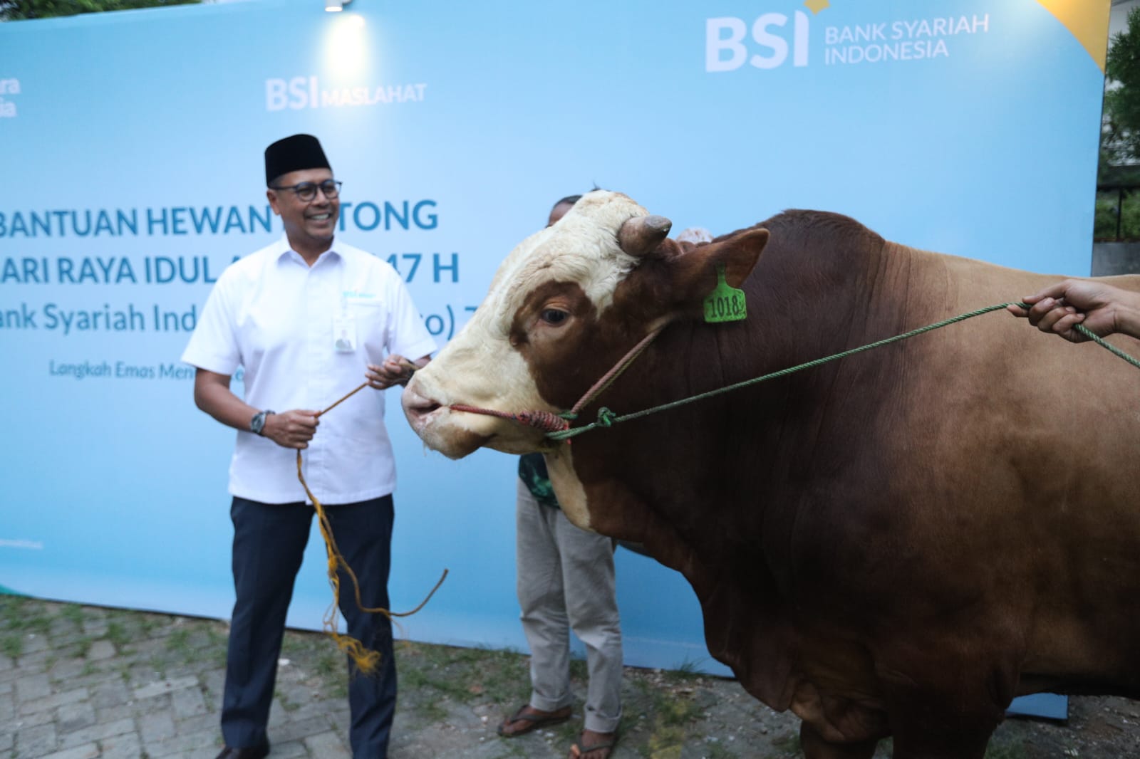 BSI Distribusikan Lebih dari 24 Ribu Hewan Kurban, Naik 57% Dari Tahun Lalu