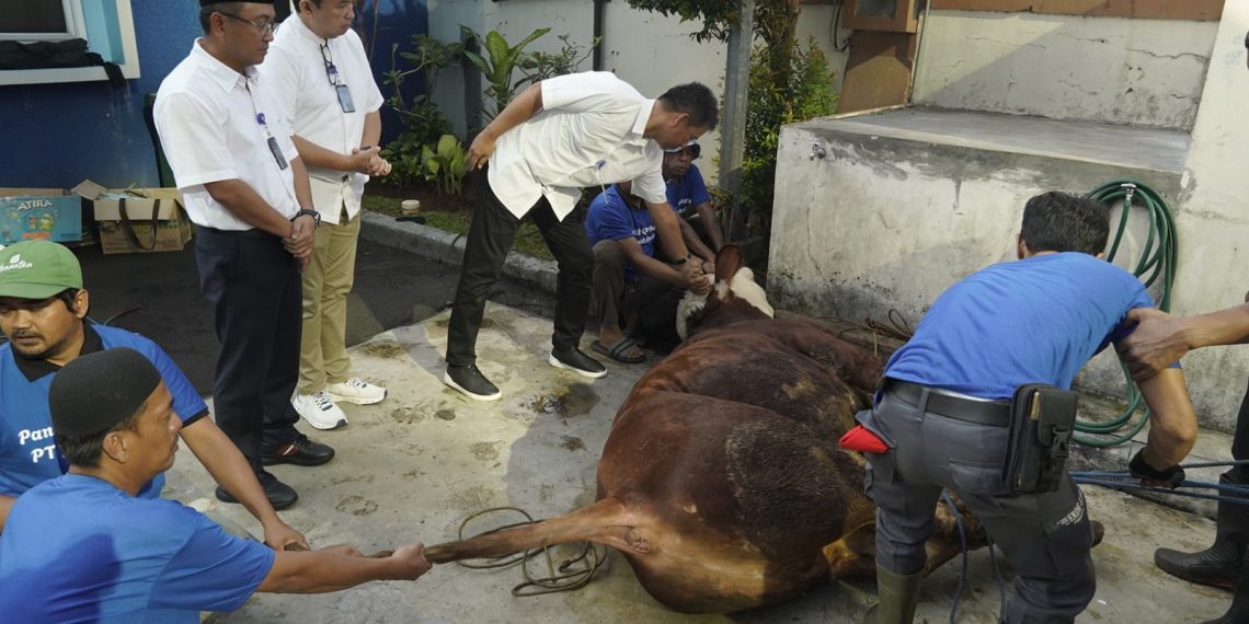 Jamkrindo Salurkan Hewan Qurban Perkuat Kepedulian dan Solidaritas Sosial