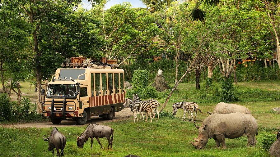 Taman Safari Siap Ikuti Lelang Pengelolaan Kebun Binatang Bandung