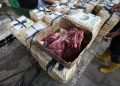 Bolehkah Berkurban untuk Orang Tua yang Sudah Meninggal? Ini Penjelasan Ulama