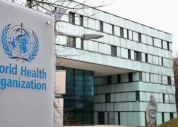WHO Sebut Risiko Global Wabah Hantavirus di Kapal MV Hondius Masih Rendah