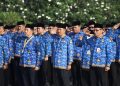CPNS 2026 Kapan Dibuka? Ini Perkiraan Jadwal dan Sinyal dari Pemerintah