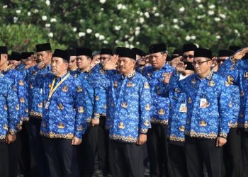 CPNS 2026 Kapan Dibuka? Ini Perkiraan Jadwal dan Sinyal dari Pemerintah
