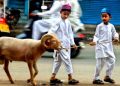 Perbedaan Akikah dan Kurban dalam Islam, Simak Penjelasannya